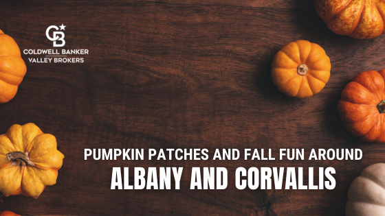 Pumpkin Patches Near Albany
