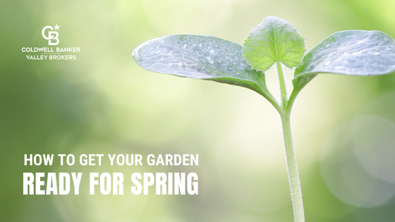 Spring Garden Tips